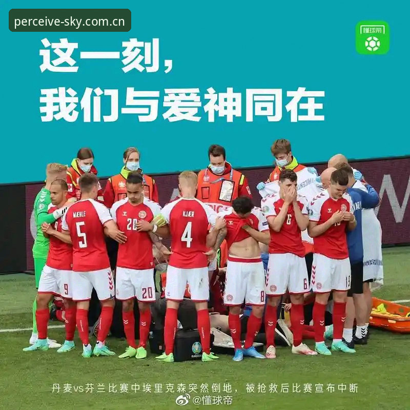 感知高处的光官网登录 从埃里克森两次倒地看赛事数据追踪的正确操作教程